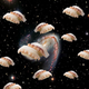 Illustration for article titled These pictures of sushi floating in space are truly awesome